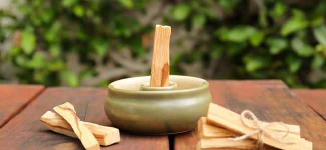 Beneficios del palosanto