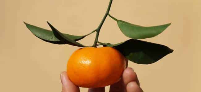 Beneficios de la mandarina