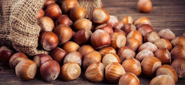 Beneficios de la avellana