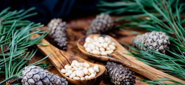Propiedades del cedro