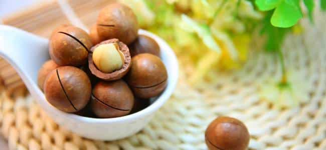 Beneficios de la macadamia