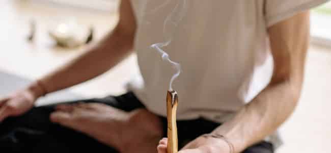 ¿Para qué sirve el palosanto?