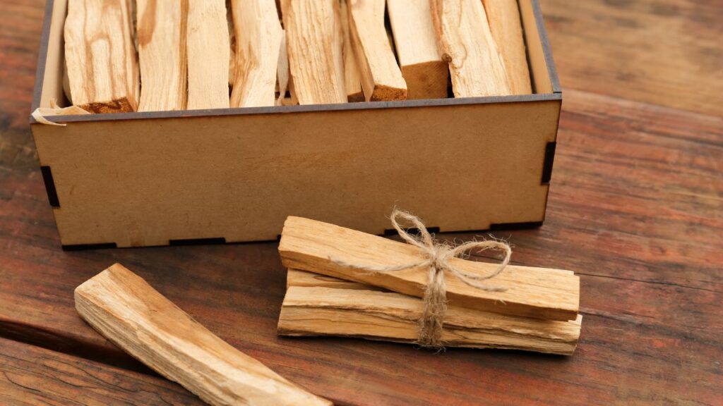 HIstoria del árbol de palosanto en Colombia