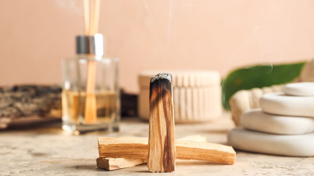 Uso del árbol de palo santo en Colombia