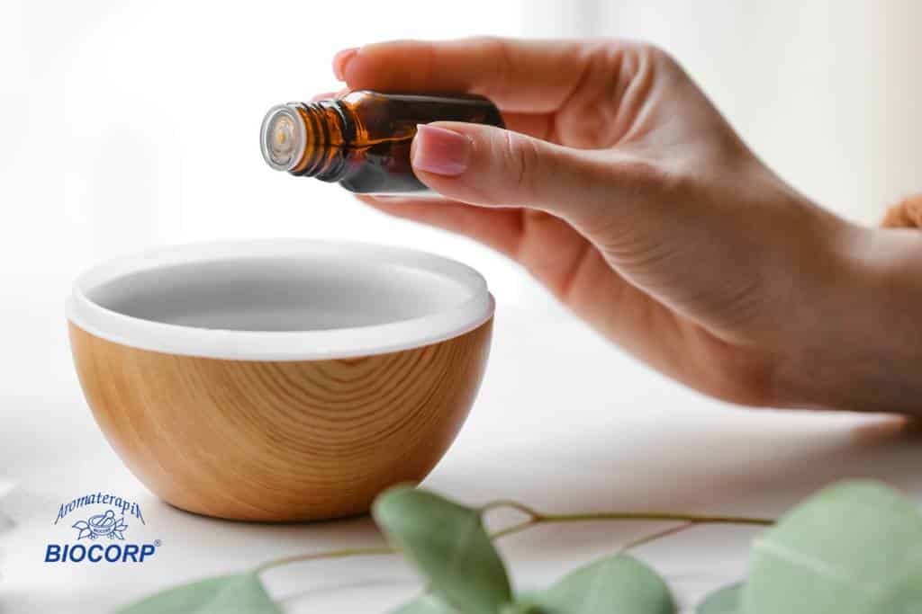 Aromatizadores de ambiente concentrados: ¿Qué son y cómo funcionan?