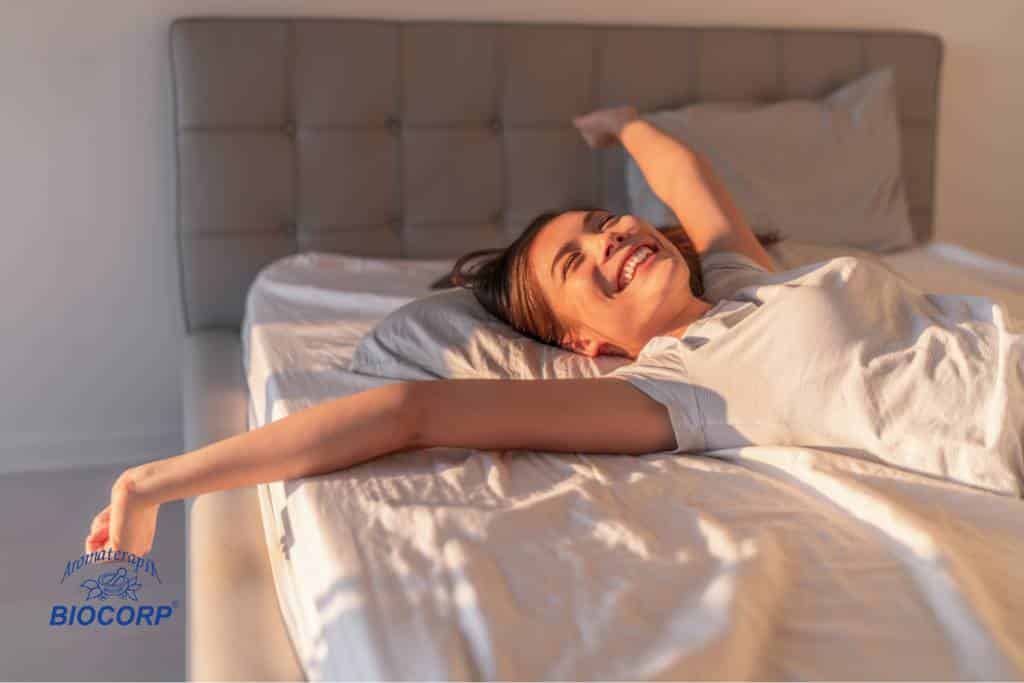 Beneficios de los aromatizadores de ambiente concentrados en tu habitación
