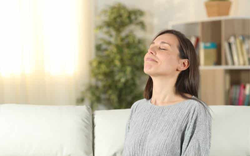 ¿Qué son los aromatizadores y para que sirven