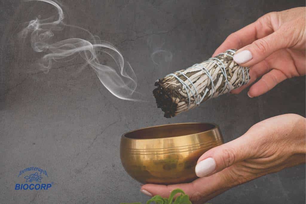 Productos Biocorp que complementan la práctica de Reiki