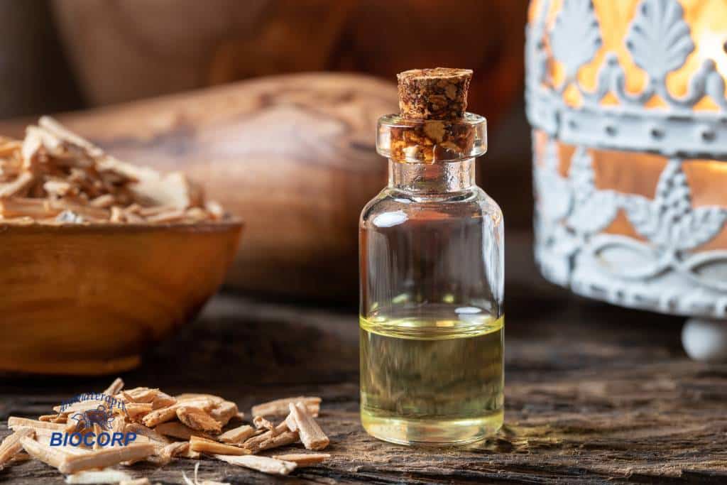 Cedro: el primer aceite destilado y su legado milenario