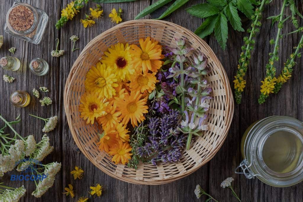 ¿Por qué elegir productos cosméticos naturales para el cuidado de la piel?