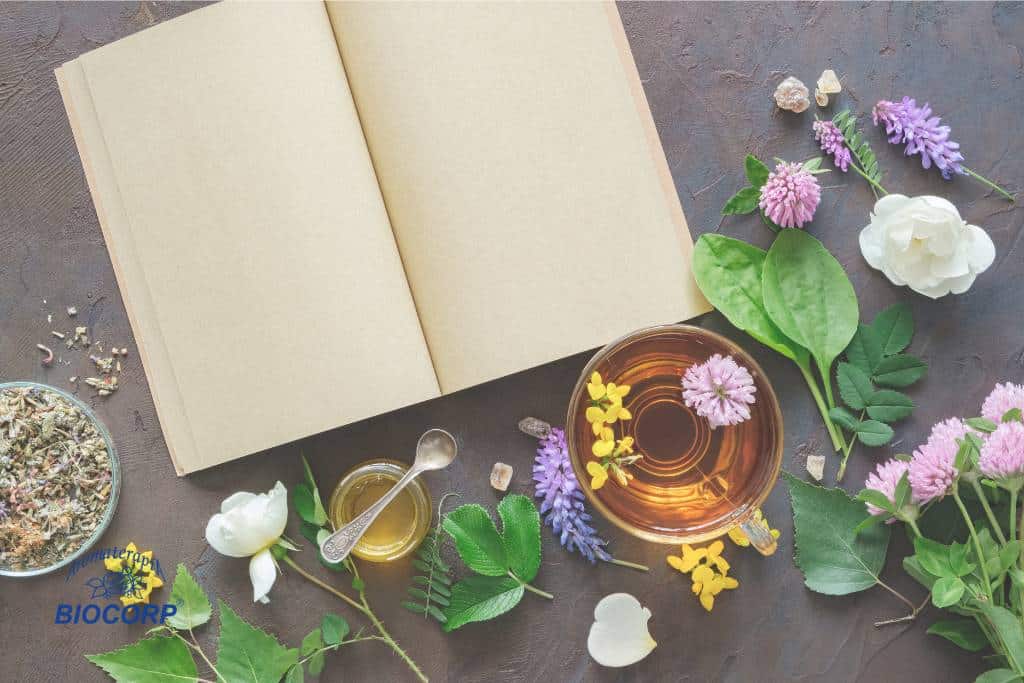 Productos Biocorp: tradición natural para una piel saludable