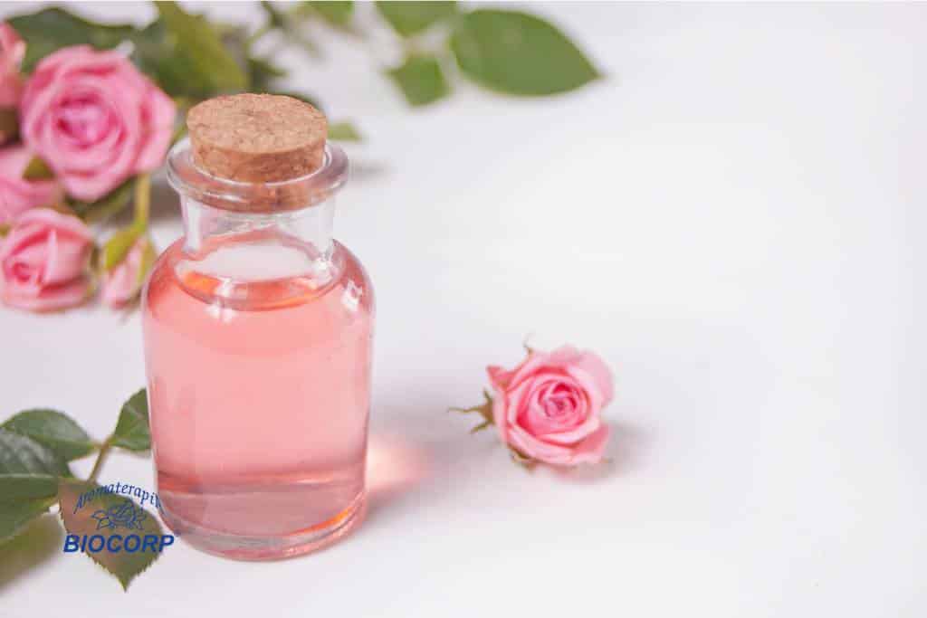 Rosa: regeneración y luminosidad para tu piel