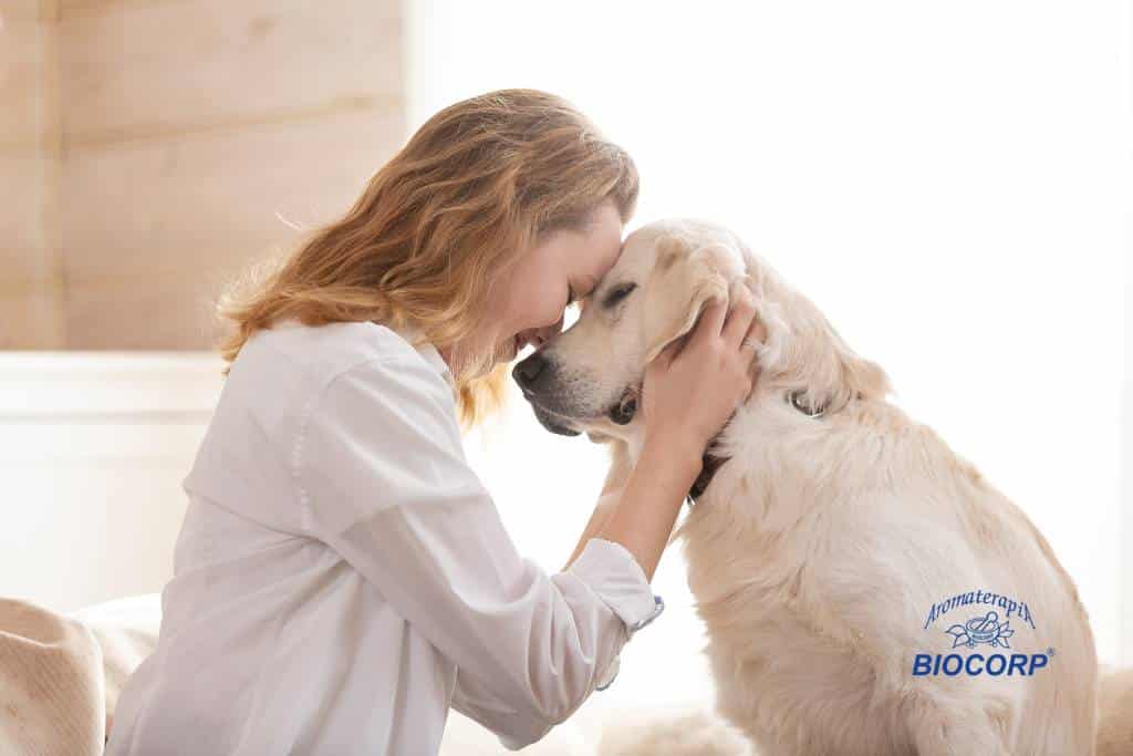 ¿Son seguros los aceites esenciales para las mascotas?