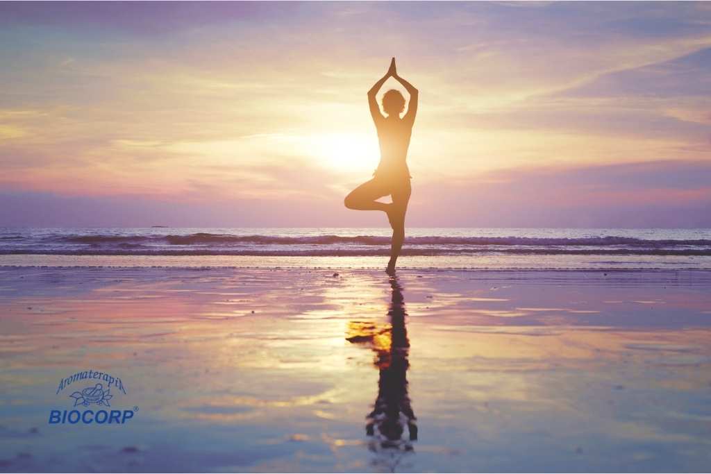 Energía para el movimiento: Cómo usar aromas naturales para crear nuevos hábitos de ejercicio