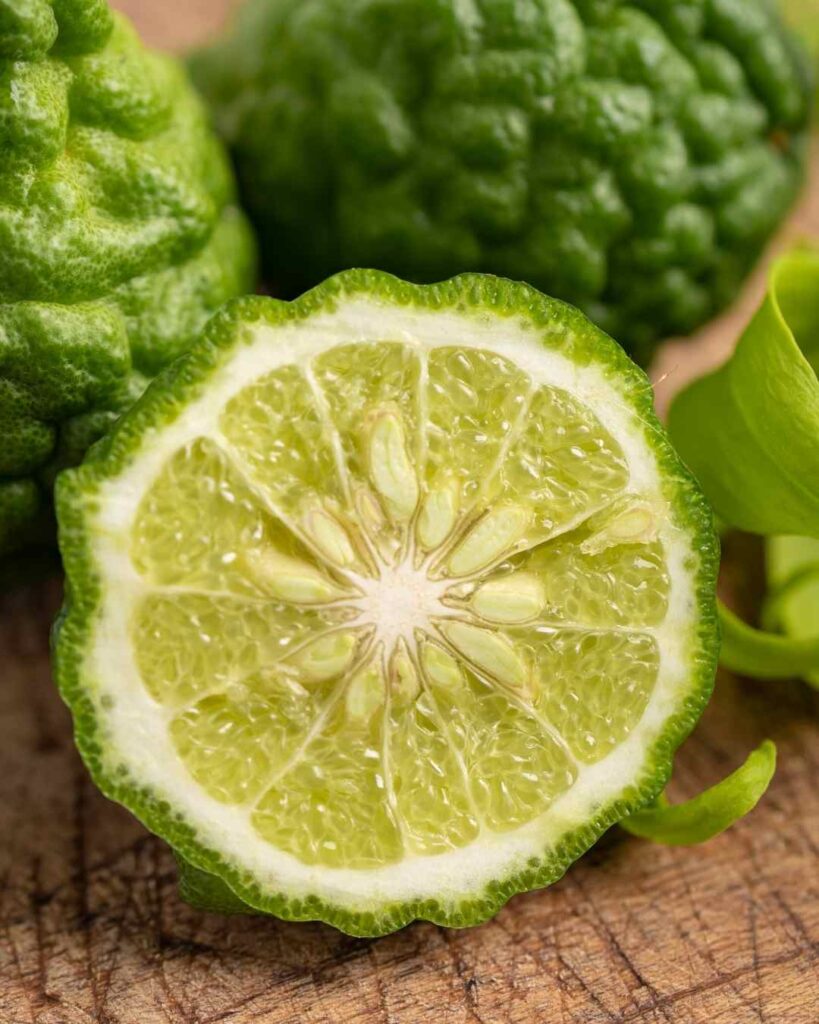 Planta Bergamota