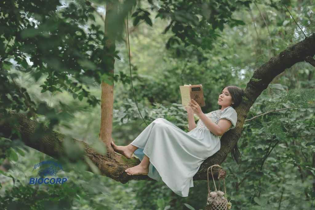 Rituales de enfoque: Usa aromas naturales para crear nuevos hábitos de estudio o trabajo