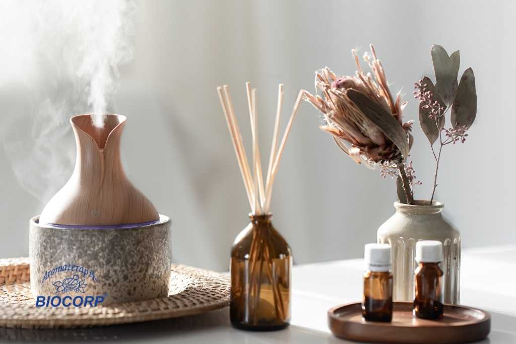 ¿Por qué los aromas para consultorios influyen profundamente en la experiencia del paciente?