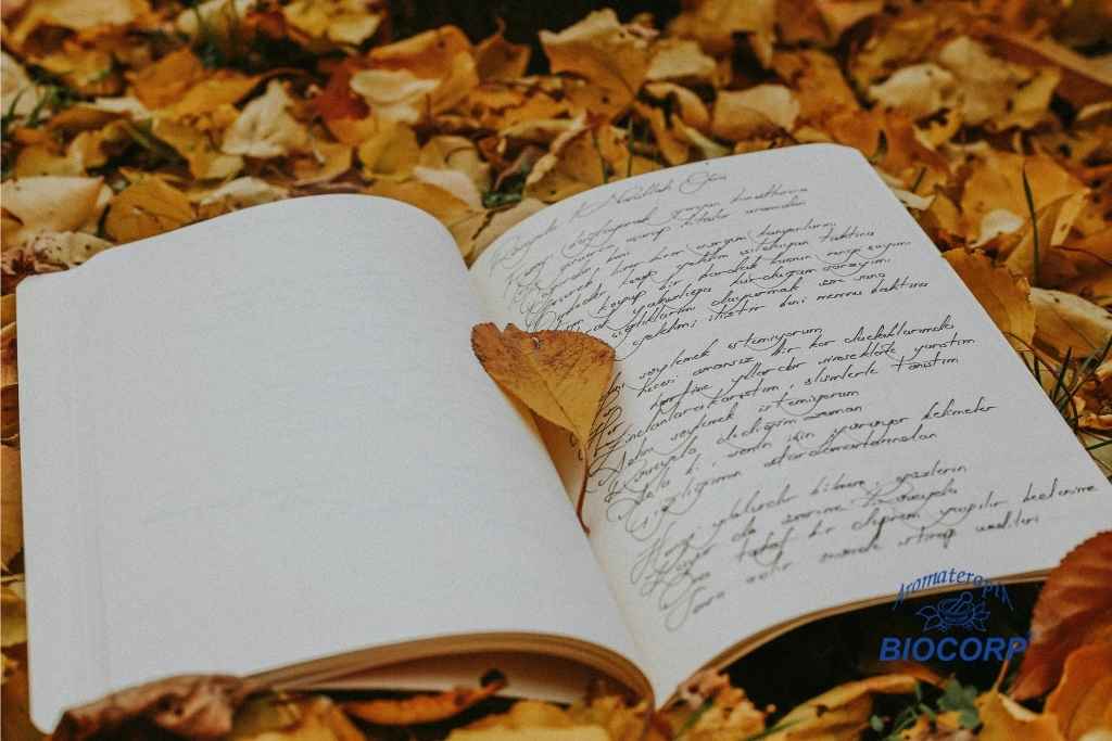 El journaling como espejo emocional y herramienta de autocuidado