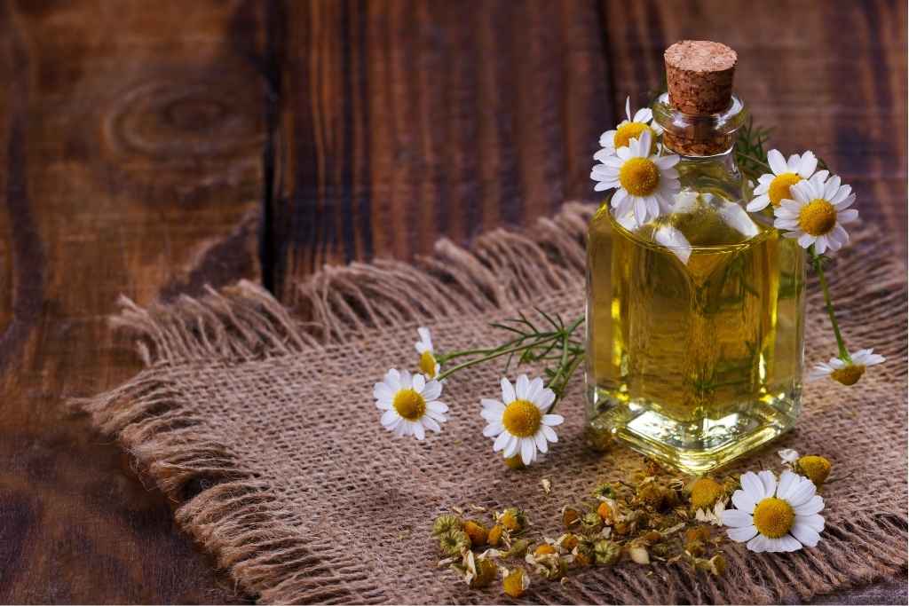 Cómo empezar en la aromaterapia: guía básica para usar aceites esenciales en tu día a día