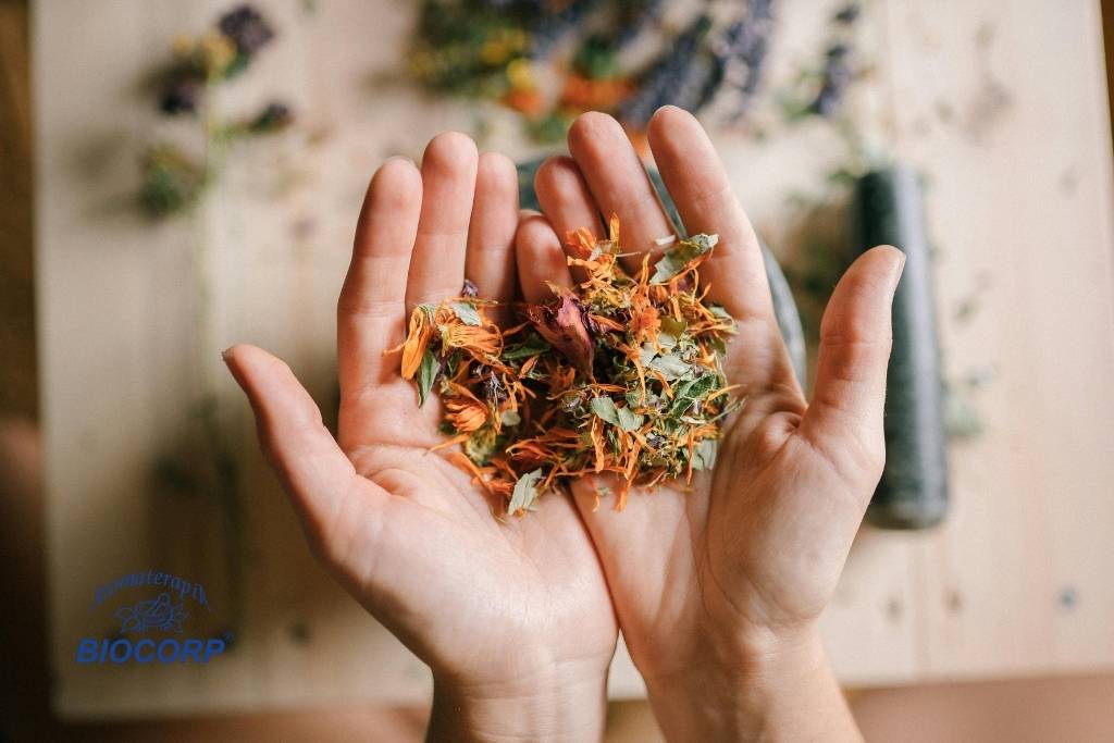 ¿Cómo utilizar la aromaterapia durante un viaje de forma segura?